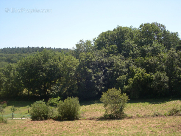 Terrain à MAUBOURGUET