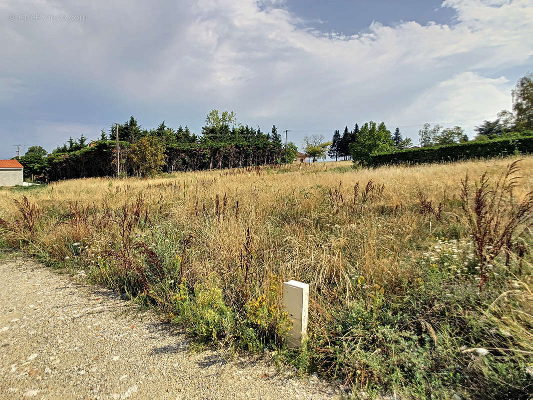 Terrain à DAVEZIEUX