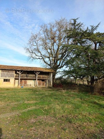 Maison à VIC-FEZENSAC