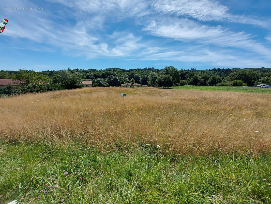 Terrain à BESSINES-SUR-GARTEMPE