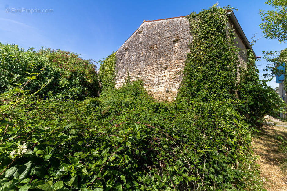 Maison à SAINT-SAVINIEN