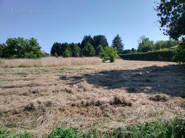 Terrain à MONTPON-MENESTEROL