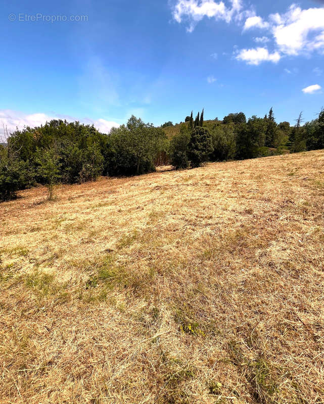 Terrain à LIMOUX