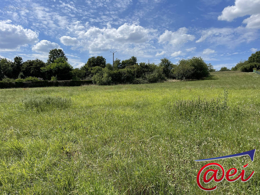 Terrain à CHATILLON-SUR-LOIRE