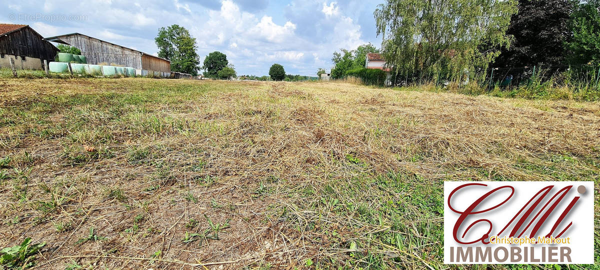 Terrain à SAINT-REMY-EN-BOUZEMONT-SAINT-GENEST-ET-ISSON