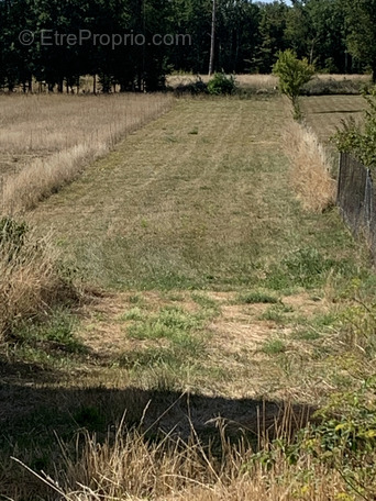 Terrain à GRUNDVILLER