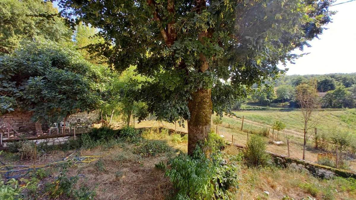 jardin - Maison à CAHORS