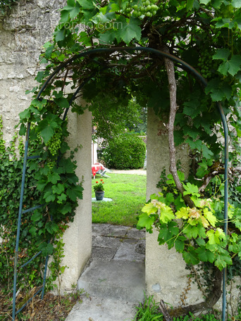 Maison à SELLES-SUR-CHER