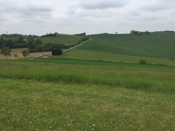 Terrain à PELLEFIGUE