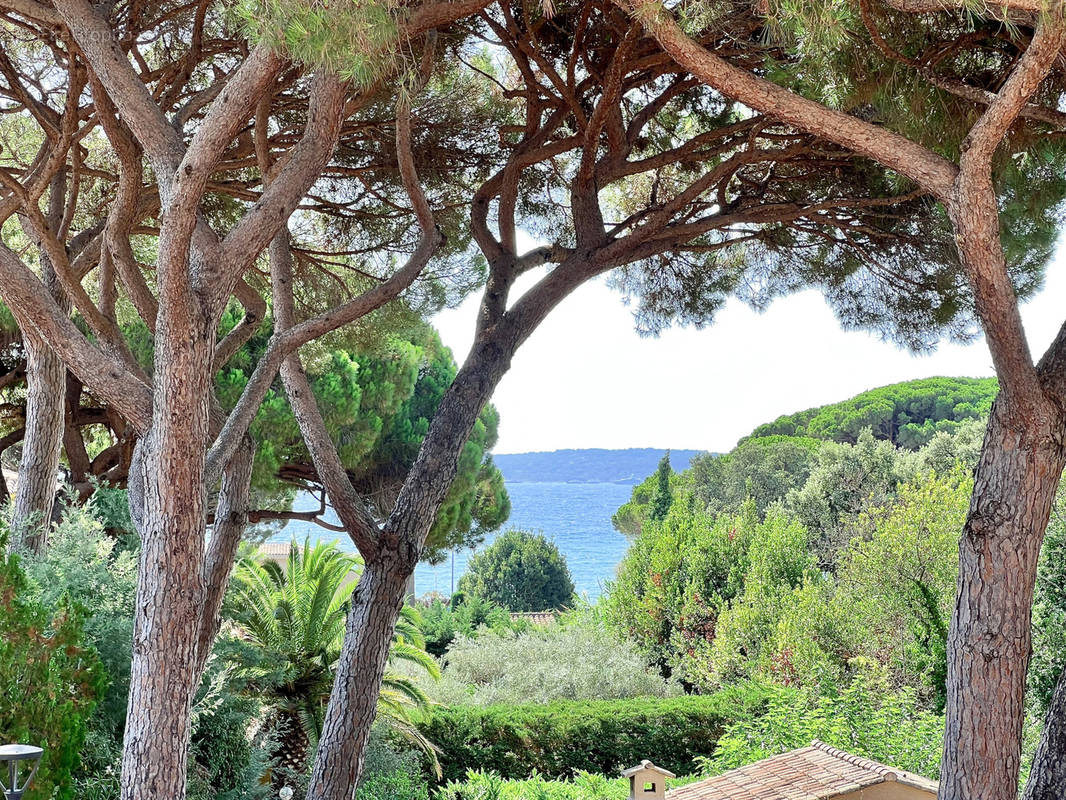 Maison à SAINTE-MAXIME