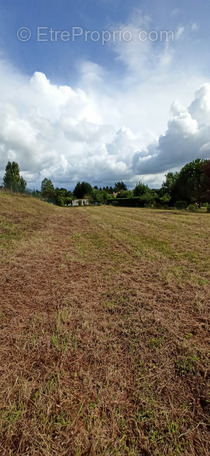 Terrain à VILLENEUVE-SUR-LOT