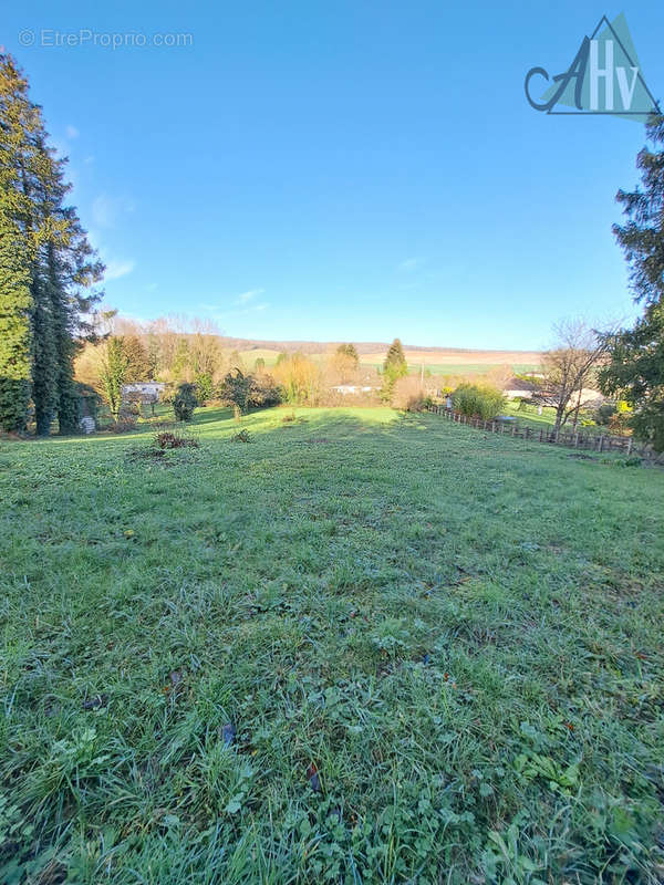 Terrain à THORIGNY-SUR-OREUSE