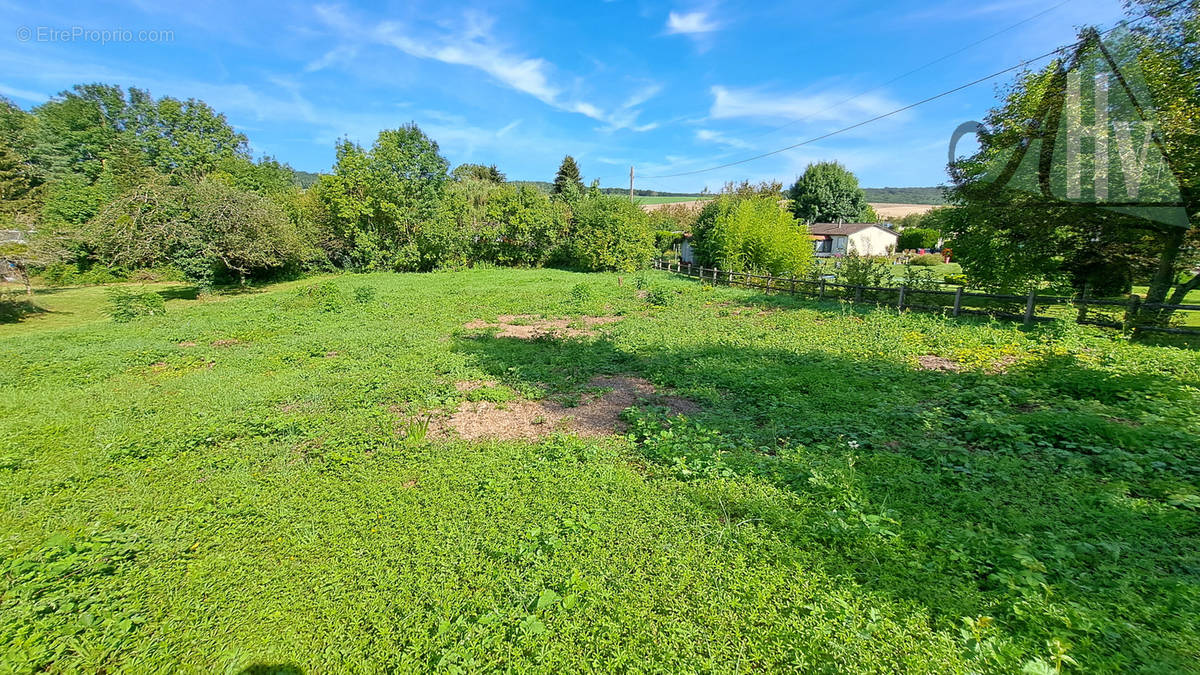 Terrain à THORIGNY-SUR-OREUSE