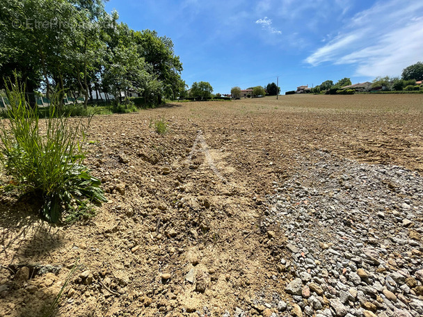 Terrain à SAINT-LYS