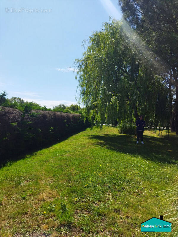 Terrain à TOUVOIS