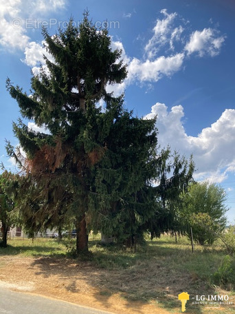 Terrain à BOIS