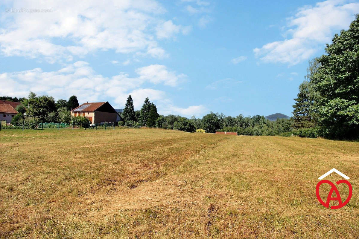 Terrain à PROVENCHERES-SUR-FAVE