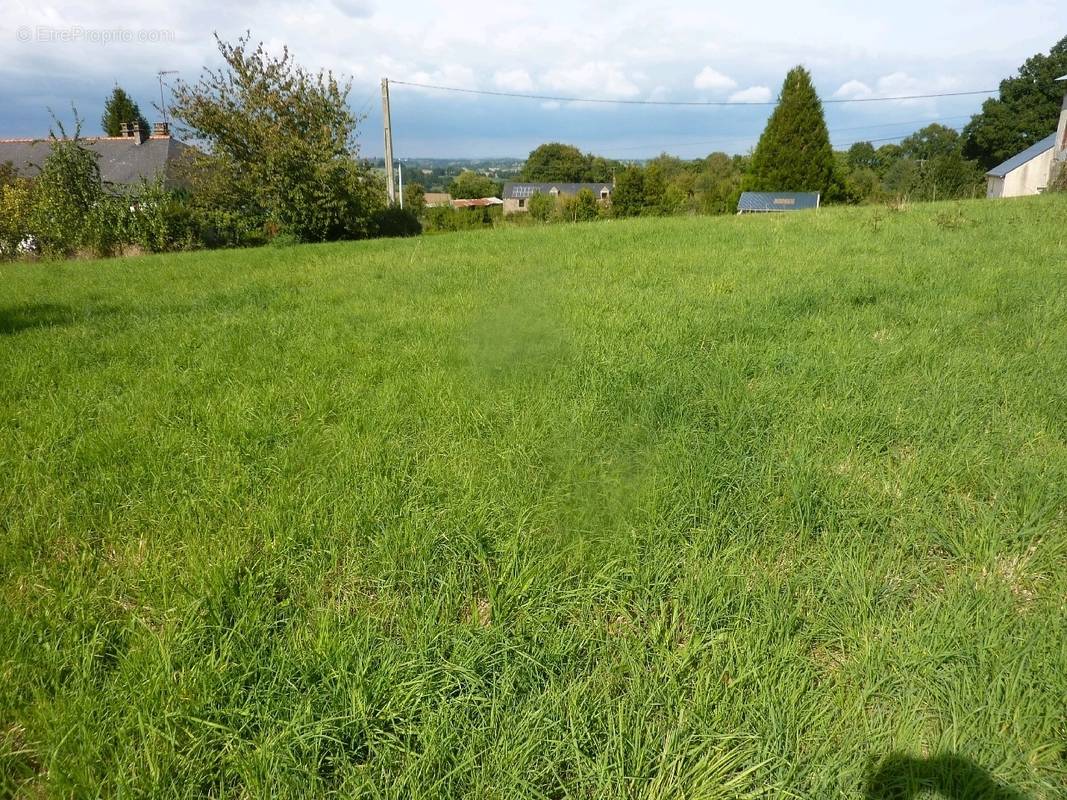 Terrain à MAYENNE