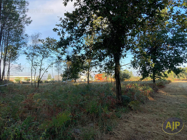 Terrain à CISSAC-MEDOC