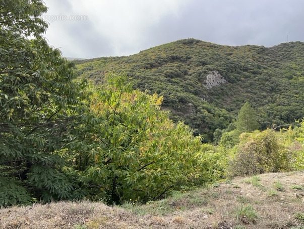 Terrain à CITOU