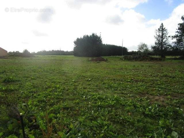 Terrain à SAINT-GERAND-DE-VAUX