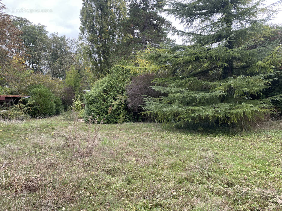 Terrain à LE MEE-SUR-SEINE