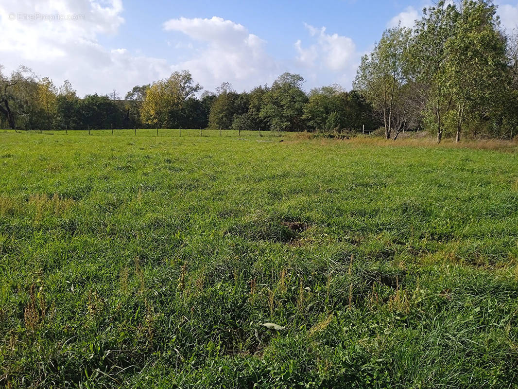 Terrain à SAINT-AUBIN-DE-BLAYE