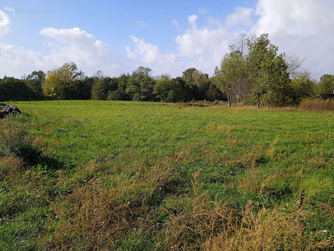 Terrain à SAINT-CIERS-SUR-GIRONDE