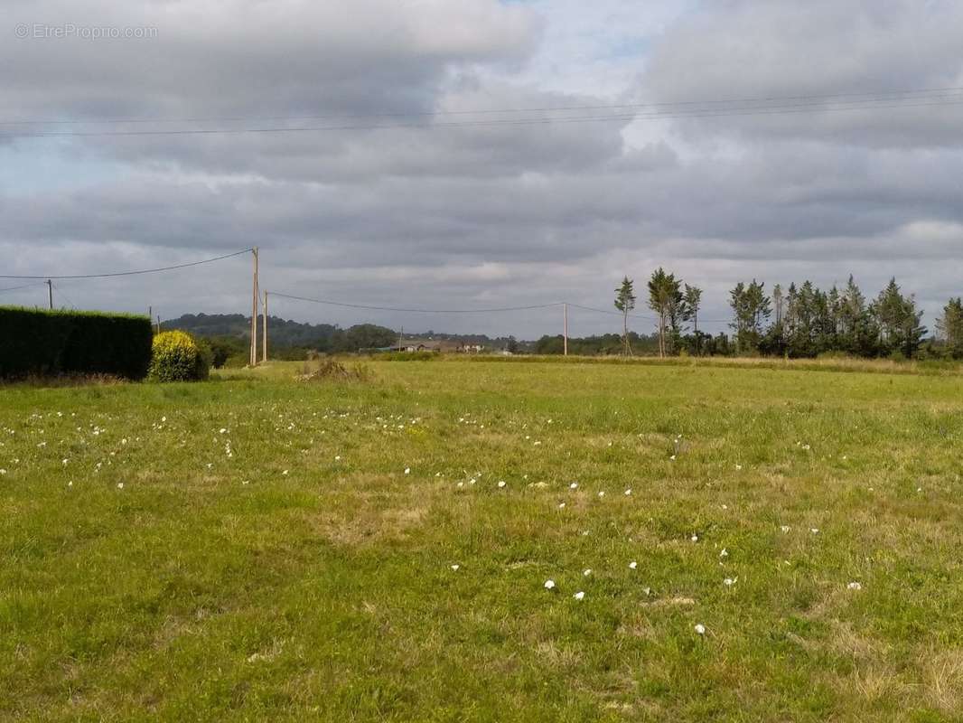 Terrain constructible, libre constructeur, 40 Landes, proche PAU, Nouvelle Aquitaine, projet immobilier - Terrain à PEYRE