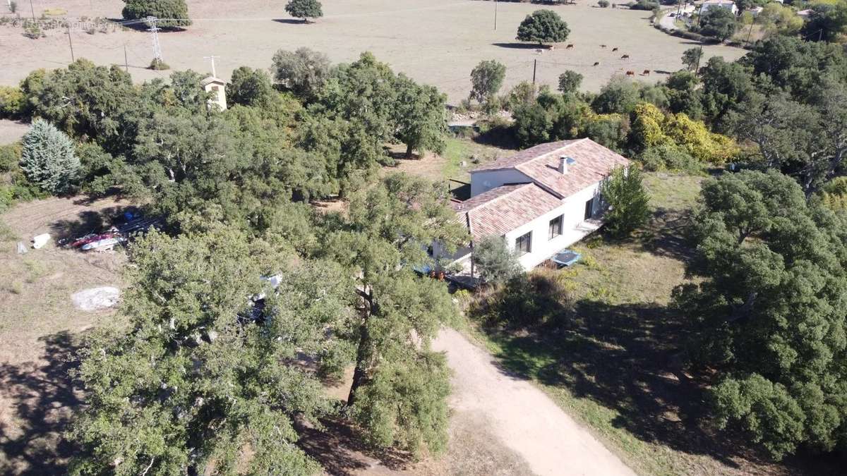 Maison à PORTO-VECCHIO