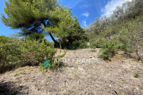 Terrain à MENTON