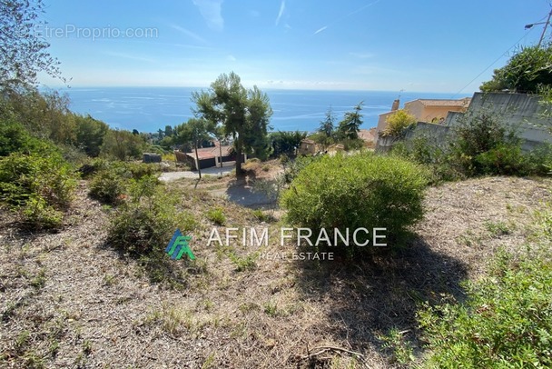 Terrain à MENTON