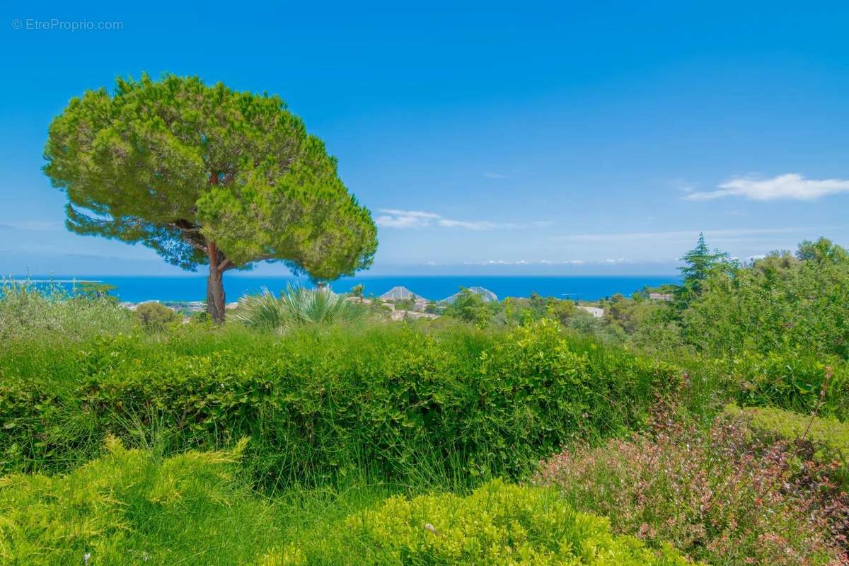 Maison à VILLENEUVE-LOUBET