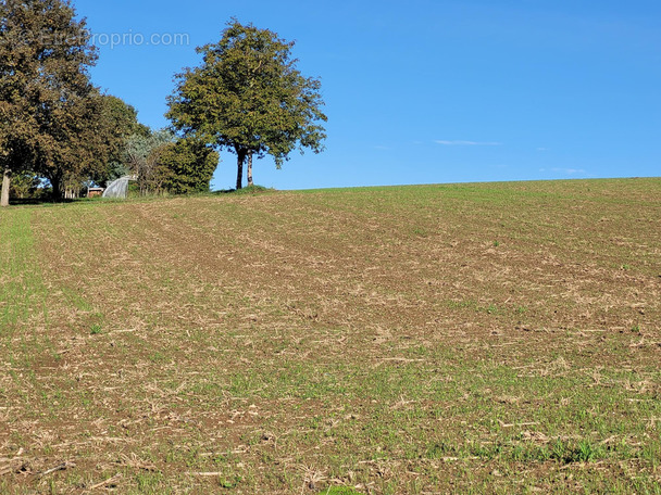 Terrain à ARZACQ-ARRAZIGUET