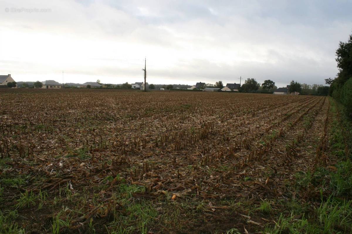 Terrain à GUEGON