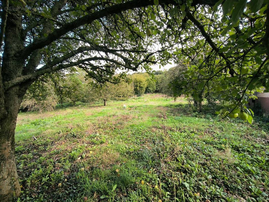 Terrain à MAISNIL-LES-RUITZ