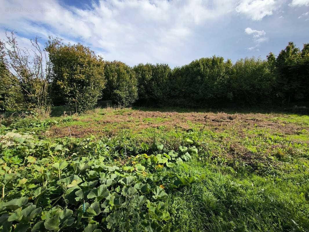 Terrain à MAISNIL-LES-RUITZ