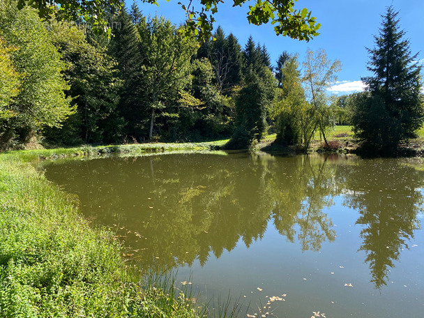 Terrain à ANGOISSE