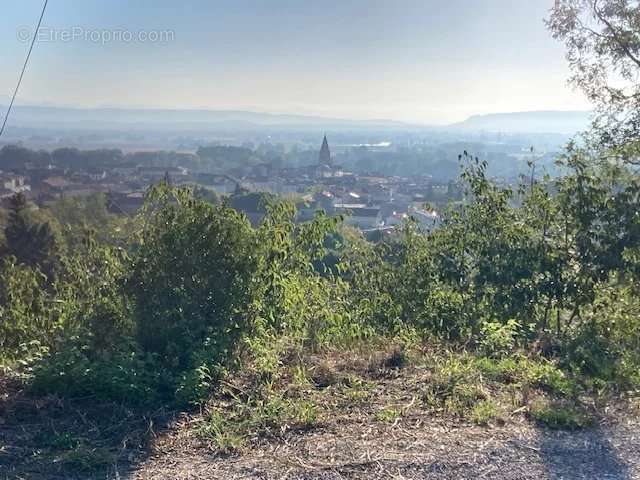 Terrain à BOURG-SAINT-ANDEOL