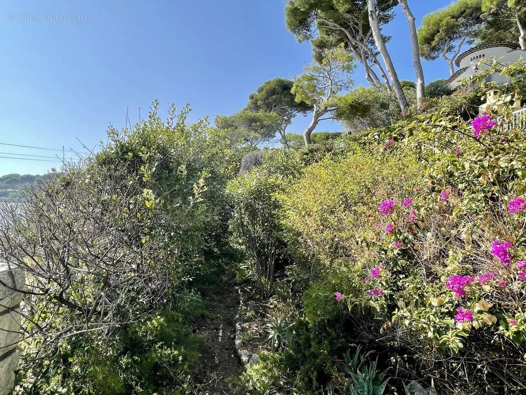 Maison à ANTIBES