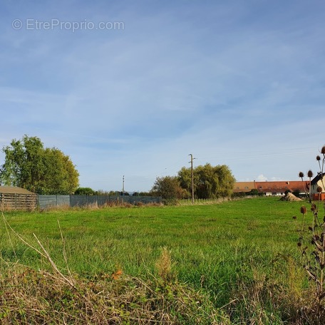 Terrain à SAINT-MARTIN-EN-BRESSE