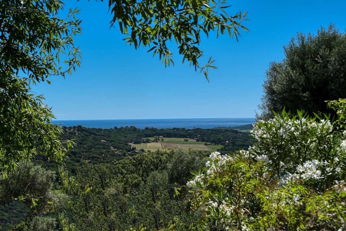 Maison à RAMATUELLE