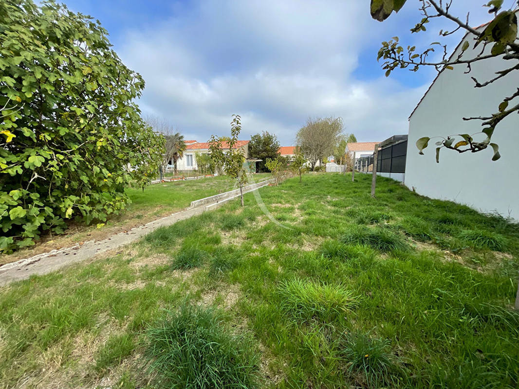 Terrain à SAINT-HILAIRE-DE-RIEZ