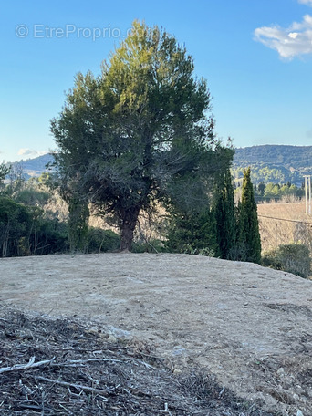 Terrain à LIMOUX