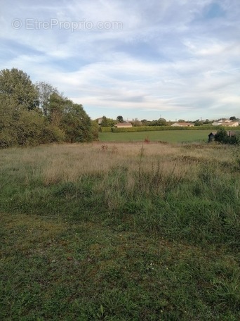 Terrain à ECHALLAT