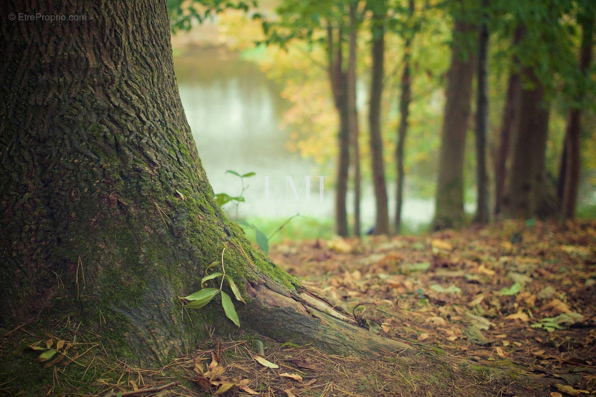 Terrain à LA FORET-FOUESNANT