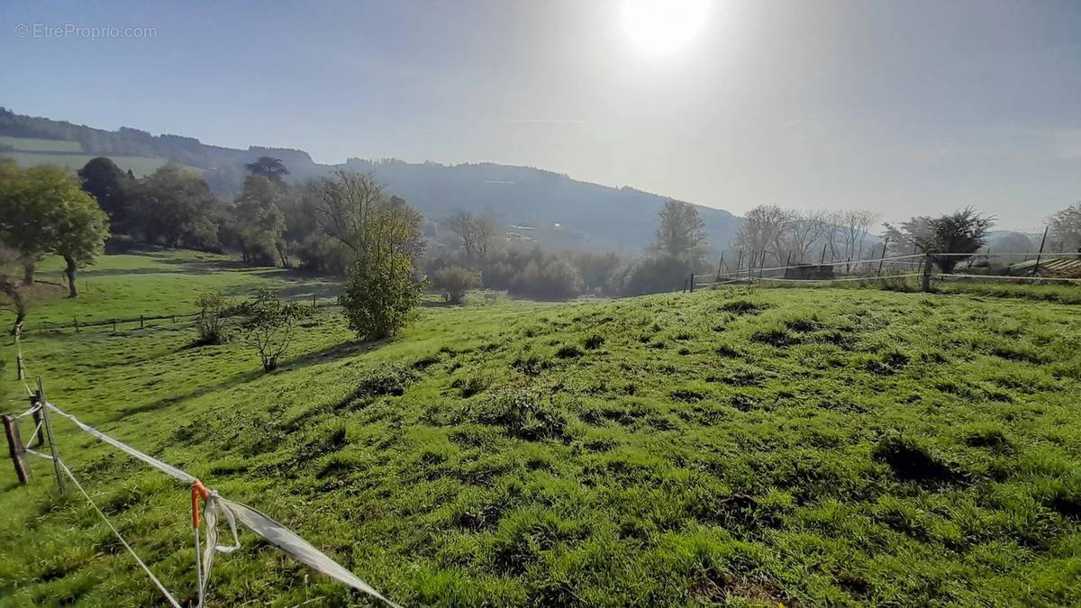 Terrain à POULE-LES-ECHARMEAUX