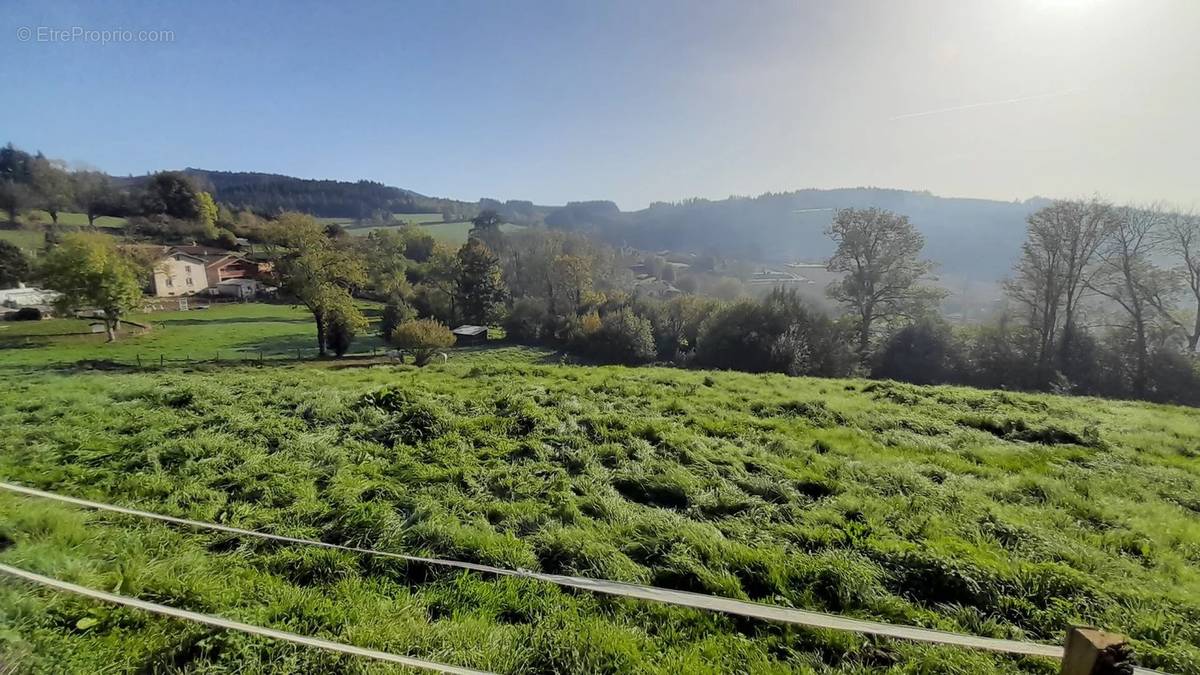 Terrain à POULE-LES-ECHARMEAUX