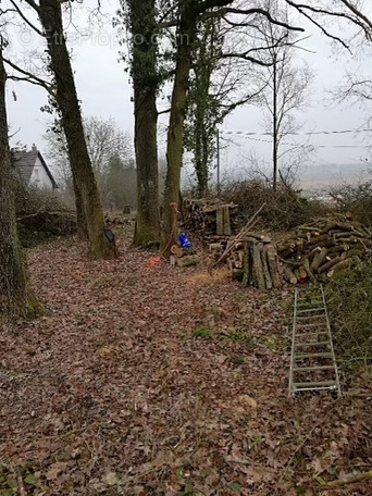 Terrain à LA BROSSE-MONTCEAUX