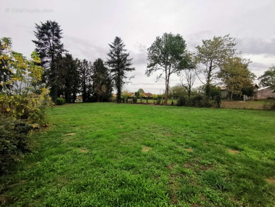 Terrain à SAINT-MEDARD-DE-MUSSIDAN